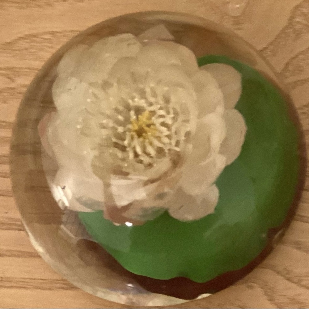 Art Glass Decor Dogwood Flower  White and Green Floral Paperweight